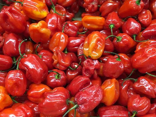Habanero peppers